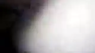 حمام مجس نبات فرك