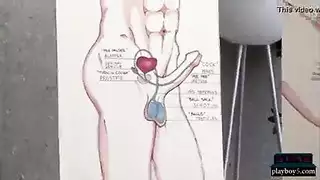 interracial porn: bbc fills a tight pussy