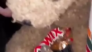 سكس اخ يقزيف في كس اختاة