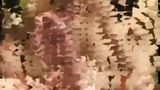 أعطني منيك مشهد إباحي لوجه مغمور بالمذي