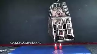 مسيطرون كبار وعبيدهم الراغبون في فعل صريح