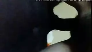 تنتاك من حصان صغير حقيقي