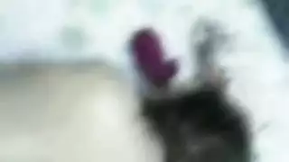 مقاطع عراقيه مسربه بغداد وربيل