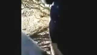 مصة من منظور المحجبة المصرية المشاغبة