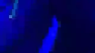 جلسة تصوير نهال عنبر العارية تتحول إلى فعل جنسي