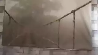 مبشر هاواي امرأة سمراء