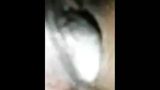 مصر فيه شعر