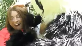 حمار وحشي ينيك بنت نيك حيوانات