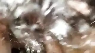 الفرنسية نائب الرئيس بالفرشاة تدليك