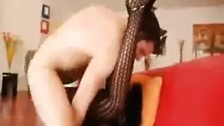 جنس شرجي وحشي وما بعده القذر