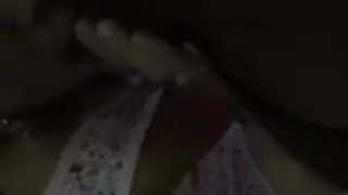 مجس نبات التنفس اللعب الهرة الطبيعية